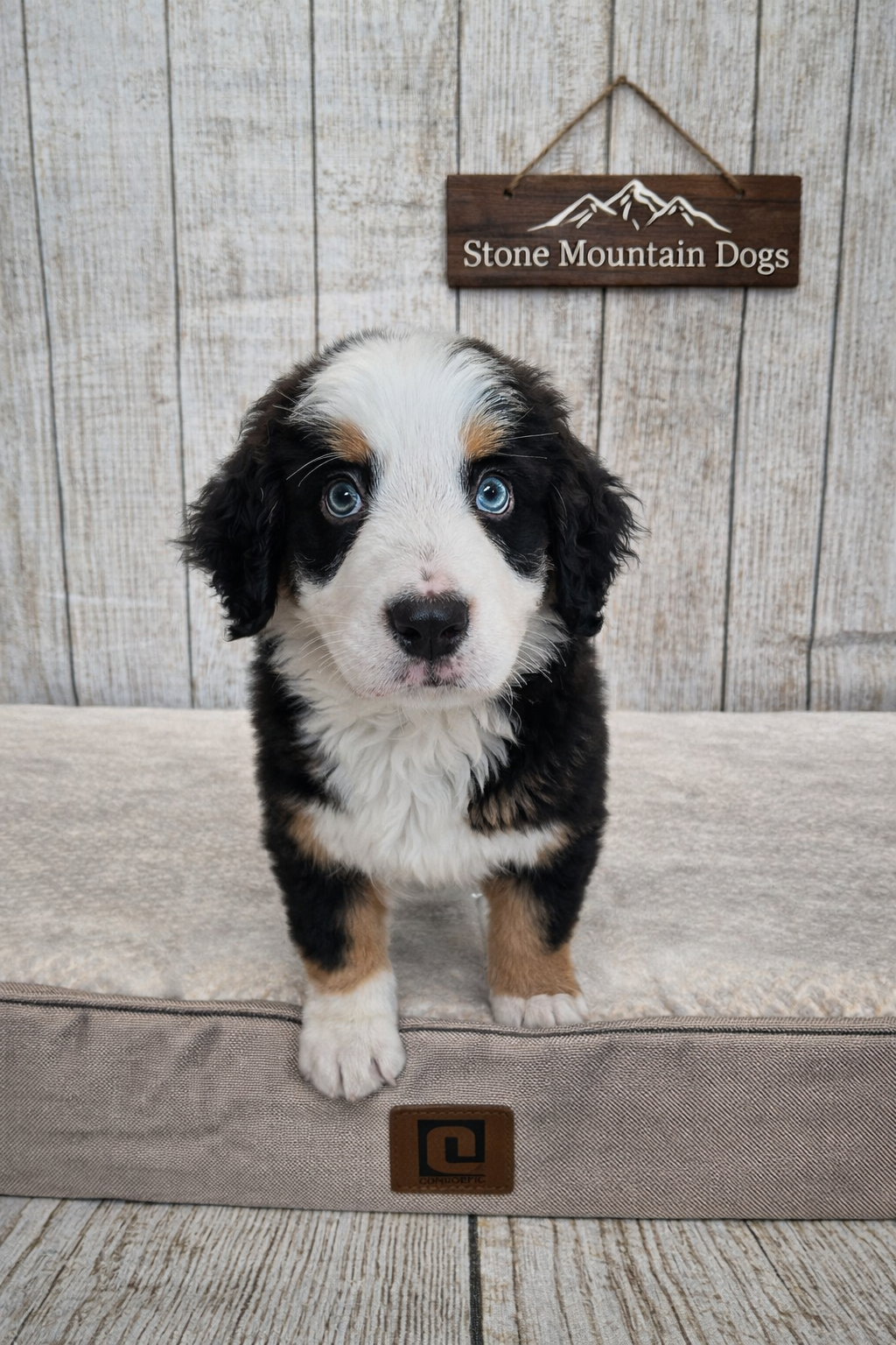 Dalia 9 weeks