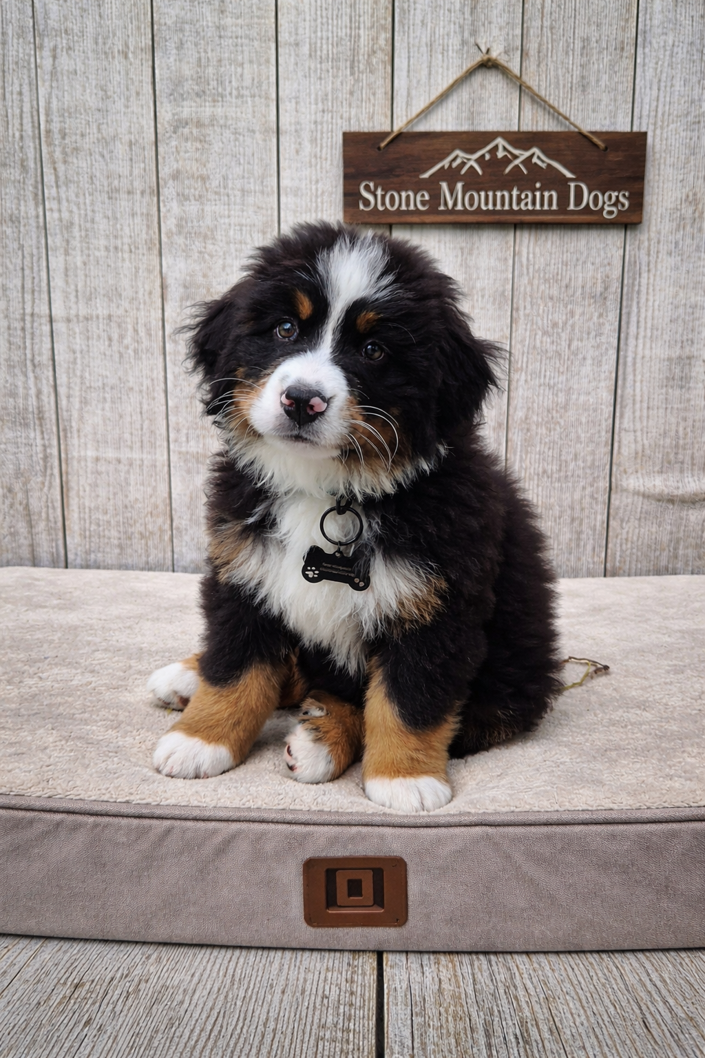 Dylan 10 weeks